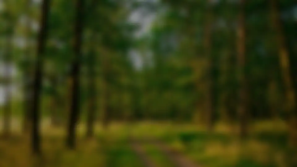 ЖК "Легенда Коренёво" – официальный сайт жилого комплекса | Красково, г ...